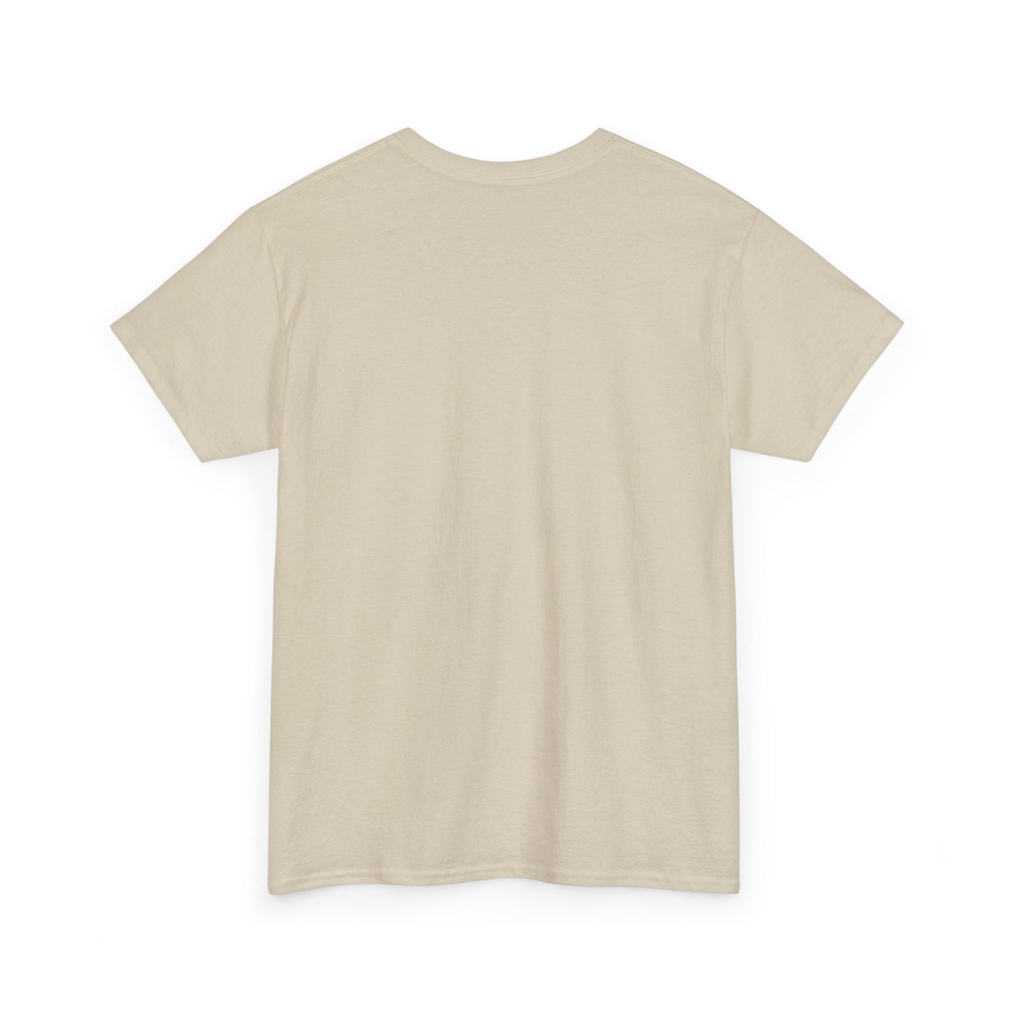 USA Flag REP Unisex Heavy Cotton Tee