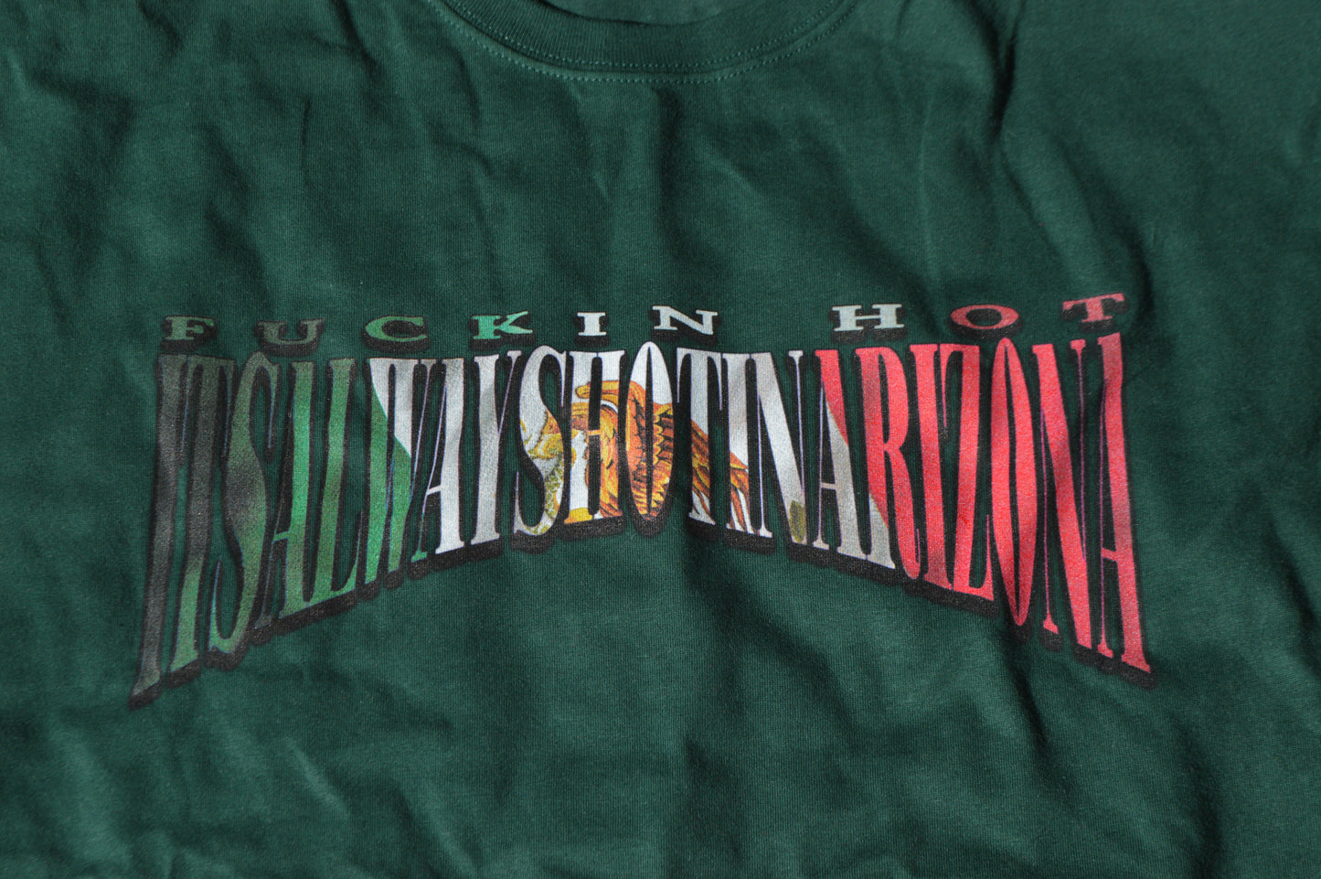 MEX Flag REP Unisex OVERSIZED Boxy Tee